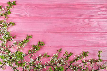 与樱花枝粉色木制背景图片