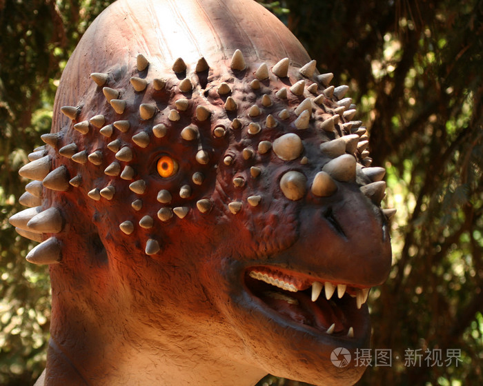 pachycephalosaurus在白垩纪的森林中觅食