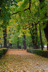 美丽宁静的公园，在秋季的颜色
