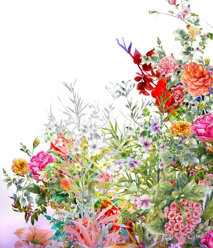 叶子和花 白色背景上的水彩画作品照片 正版商用图片03vtc7 摄图新视界 叶子和花 白色背景上的水彩画作品照片 正版商用图片03vtc7 摄图新视界