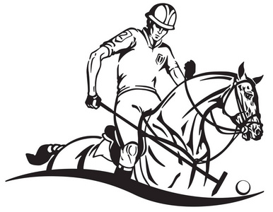 马背上的骑手马术马球运动员和马马.