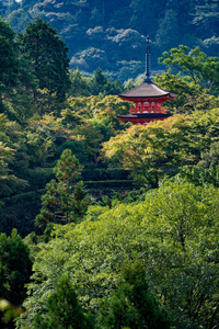 日本京都京都塔