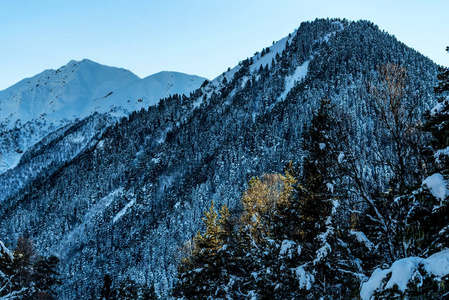 冬天山风景与岩石和雪