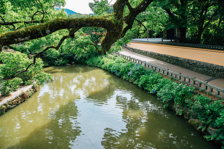 日本福冈 Dazaifu Tenmangu 神社自然景观