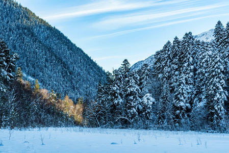 冬天山风景与岩石和雪