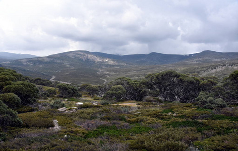 在夏洛特山口在澳大利亚新南威尔士大学大雪山的行走轨道