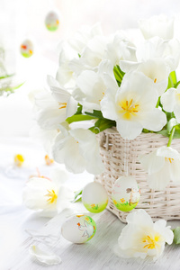 白色郁金香在篮子和复活节彩色蛋