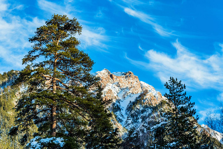 冬天山风景与岩石和雪图片