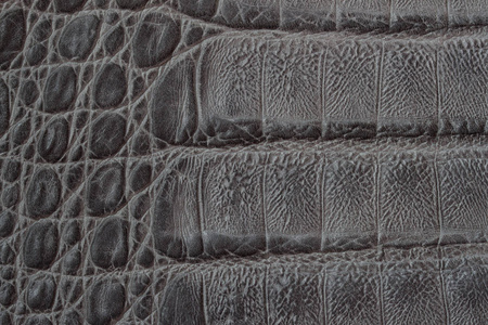真皮纹理 backgroundr 特写, 在皮肤爬行动物下浮雕, 鳄鱼皮打印。对于工匠背景, 复制空间。购物制造的概念