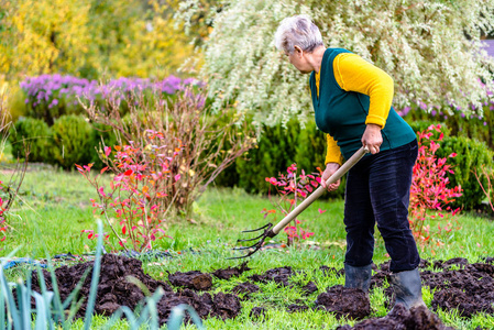 在花园里工作的妇女或农夫施肥土壤用天然肥料, 有机耕种概念