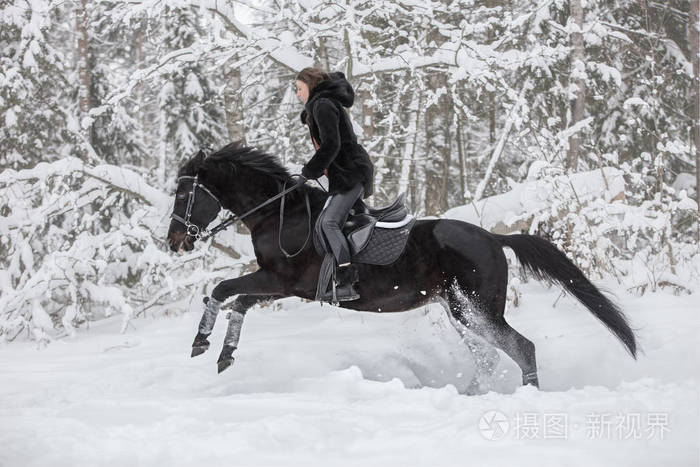 一个女孩骑着黑马穿过雪地在冬天的森林背景下, 侧面视图