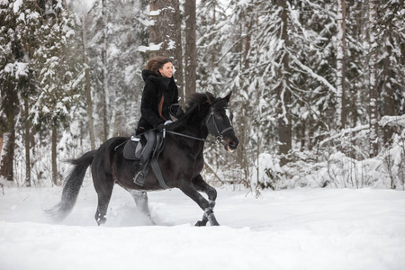一个女孩骑着黑马穿过雪地在冬天的森林背景下, 侧面视图