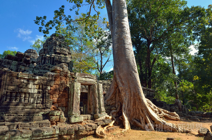 在丛林里的神庙