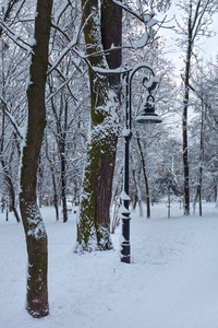 乌克兰利沃夫冬季公园