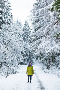 一个年轻的女人正在穿过冬日的森林