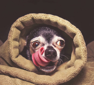 害怕看起来害怕图片