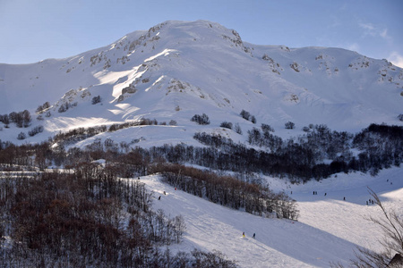 001的高山上充满了雪。