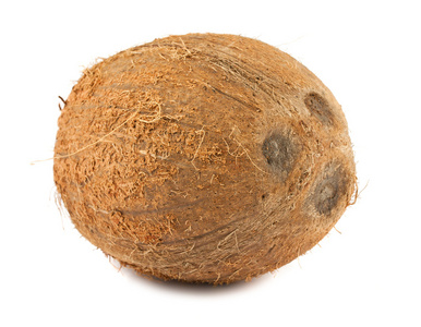 成熟棕色椰子