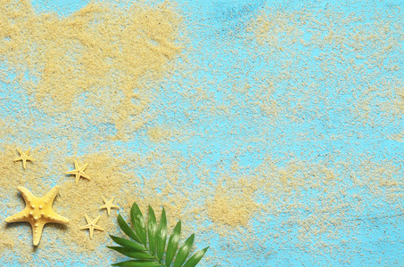 夏季海背景。海星和棕榈树枝上的木蓝色背景