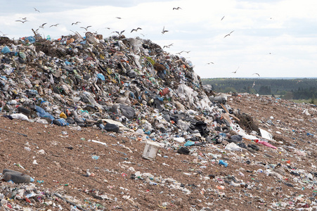 垃圾场照片