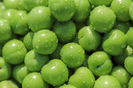 鲜绿李子和水滴照片