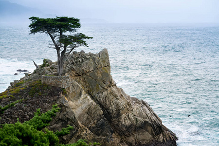 旧金山鹅卵石海滩