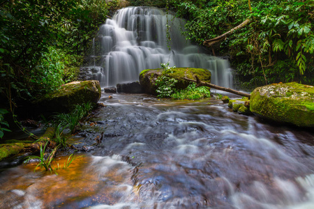 丁登瀑布, 美丽的瀑布在深森林中的富欣荣解放军国家公园, 彭世洛, 泰国