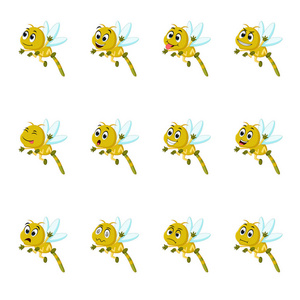 不同面部表情和颜色的蜻蜓照片