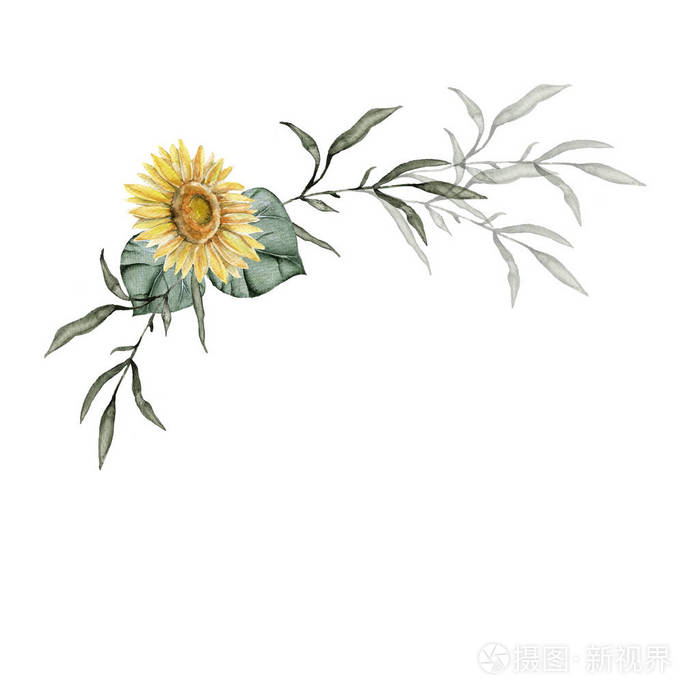 花束的野花 向日葵 在白色背景上被隔离照片 正版商用图片03y4bu 摄图新视界