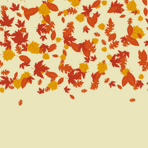 秋天的框架与树叶。向量