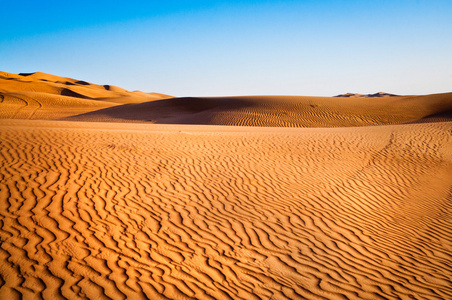 沙地沙漠
