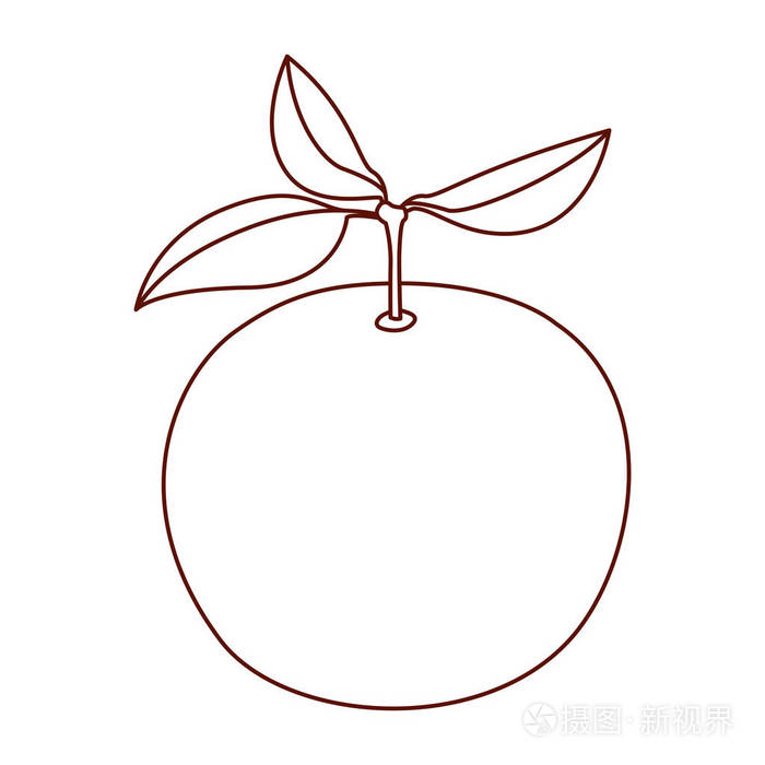 橙色水果单色剪影