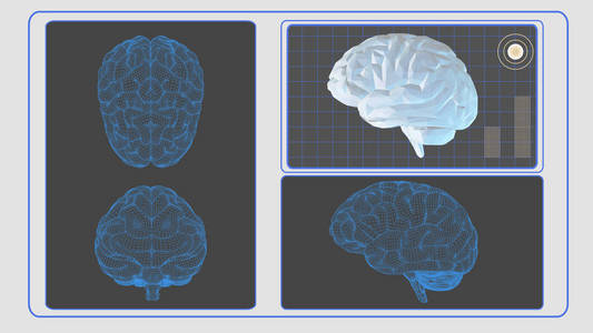 3d. 白 Bg 的脑分析界面屏幕