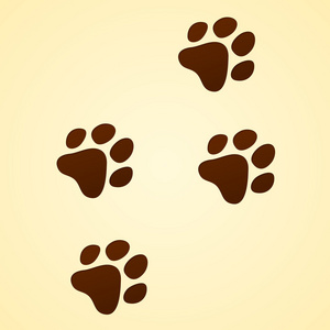 野生摘要野生动物卡通跟踪照片