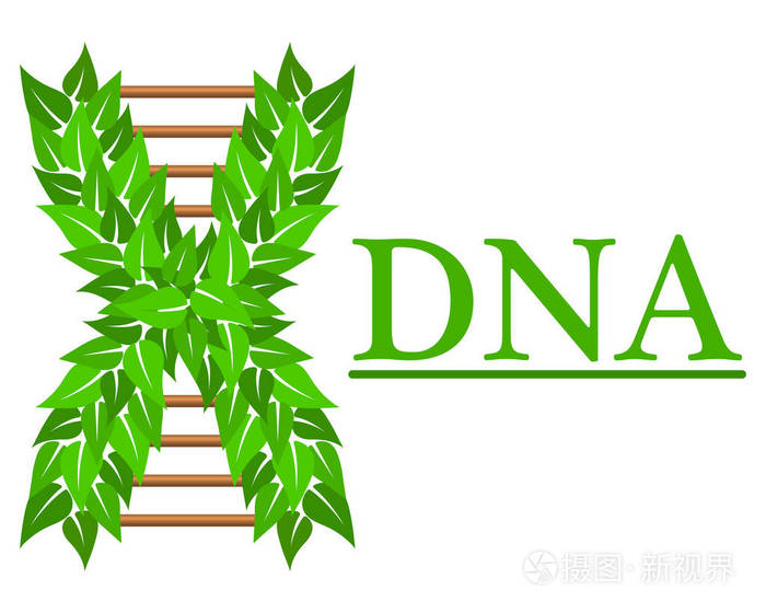 Dna 标志, 医学中心, 生物技术