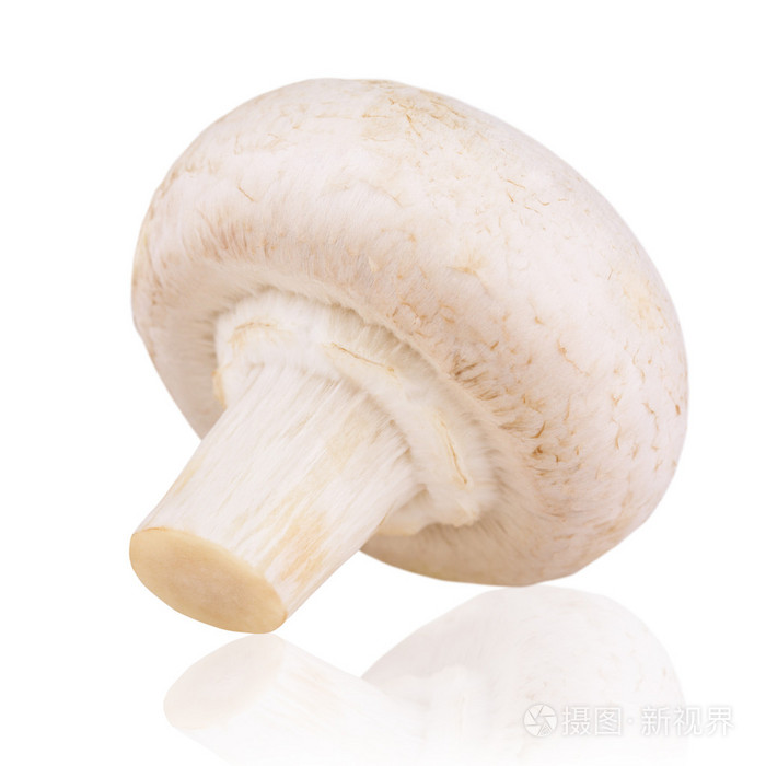新鲜蘑菇菇
