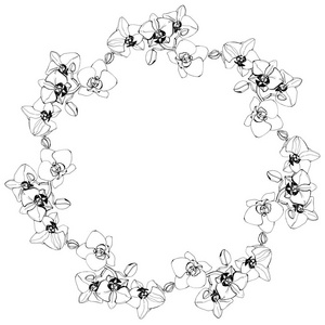 花圆背景与兰花和地方为文本。矢量