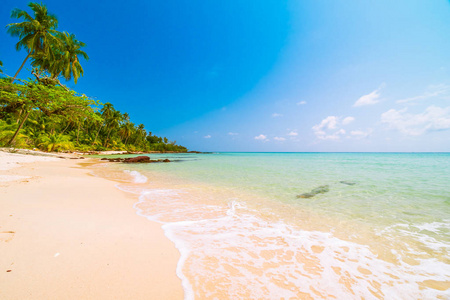 美丽的天堂海岛与海和海滩风景照片