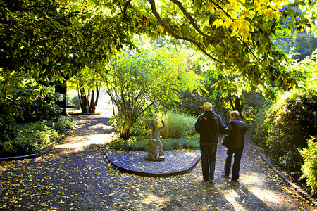 高级情侣在公园里照片