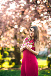 对摄影师的背景下盛开的粉红色树木构成了美丽的女孩。春天。樱花