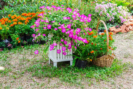 夏日温馨的家花花园