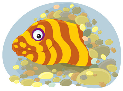 海海鳗