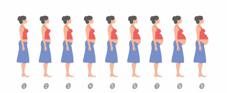 怀孕1到9月腹部变化图图片