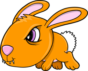 橙色的小兔子图片