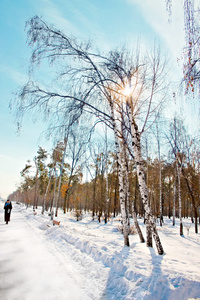 冬季风景与雪