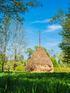 德国 Spreewald 地区的干草堆景观