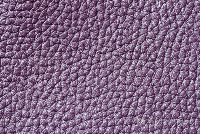 抽象质感真皮特写, 紫色, 背景, 背景, 衬底, 组合使用, 文本位置照片