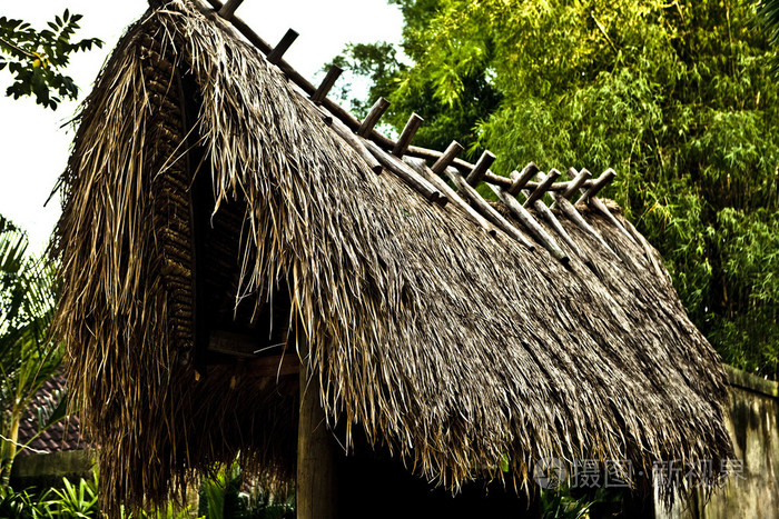 老房子的屋顶由芦苇