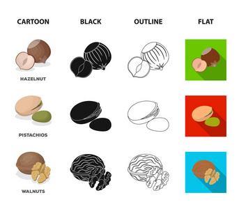 榛子, 开心果, 核桃, 杏仁。不同种类的坚果集合图标在卡通, 黑色, 轮廓, 平面风格矢量符号股票插画网站