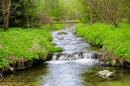 山区河流下游河流图片